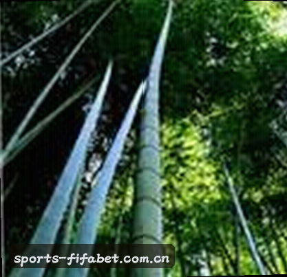 李伟